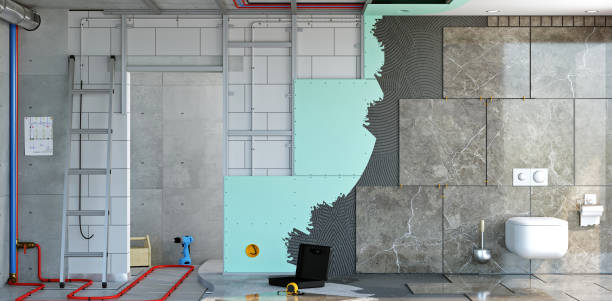Best Basement Mold Removal  in Paris, TN