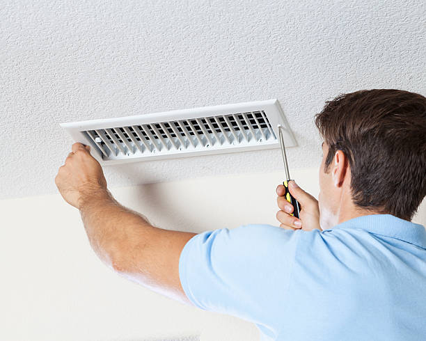 Best Mold Remediation for Healthcare Facilities  in Paris, TN
