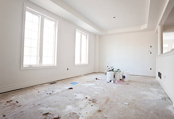 Best Industrial Mold Remediation  in Paris, TN