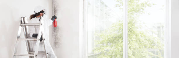 Best Mold-Related Health Consultation  in Paris, TN