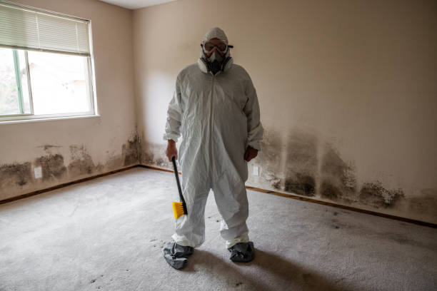 Best Post-Construction Mold Inspection  in Paris, TN