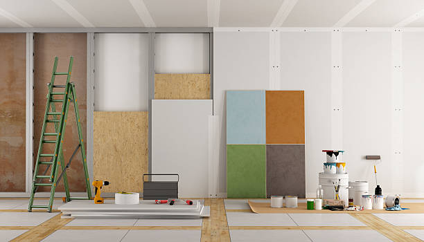 Trusted Paris, TN Mold Removal Experts