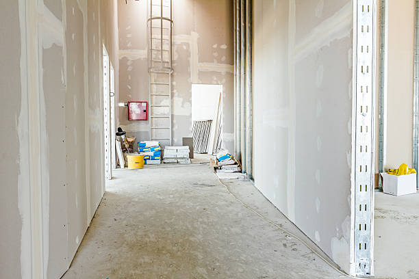 Best Commercial Mold Inspection  in Paris, TN