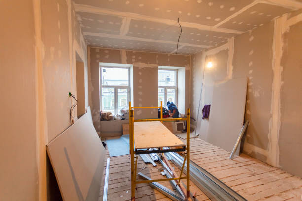 Best Attic Mold Removal  in Paris, TN