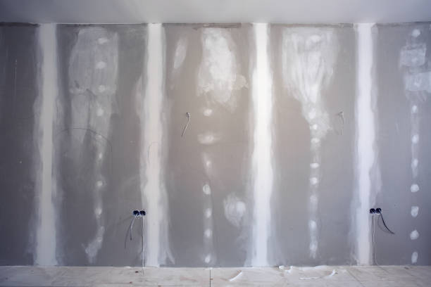 Best Forensic Mold Investigation  in Paris, TN